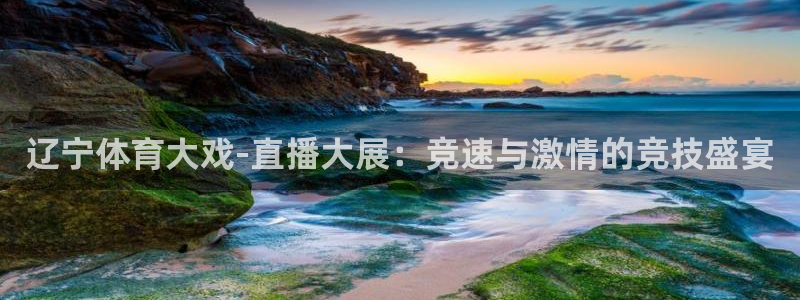 辽宁体育大戏-直播大展：竞速与激情的竞技盛宴