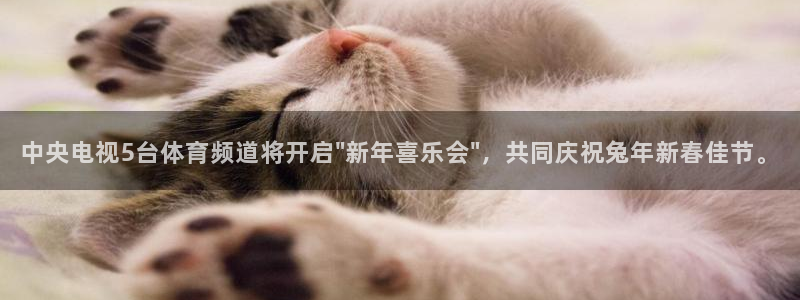 中央电视5台体育频道将开启\