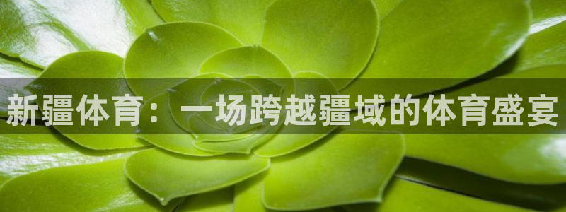 新疆体育：一场跨越疆域的体育盛宴