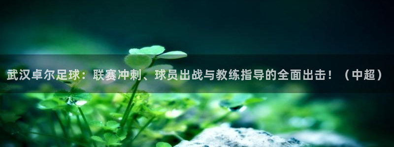武汉卓尔足球：联赛冲刺、球员出战与教练指导的全面出击！（中超）