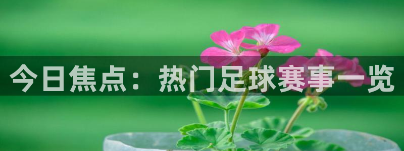 今日焦点：热门足球赛事一览