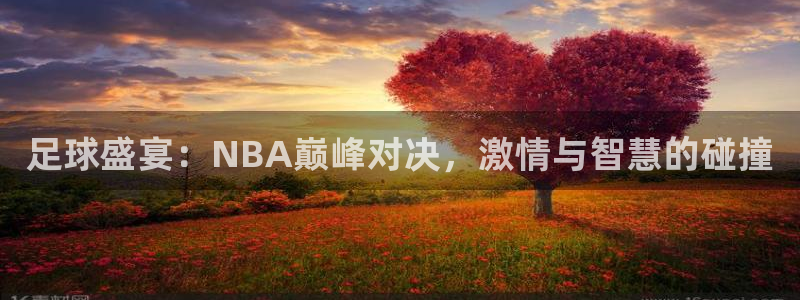 足球盛宴：NBA巅峰对决，激情与智慧的碰撞