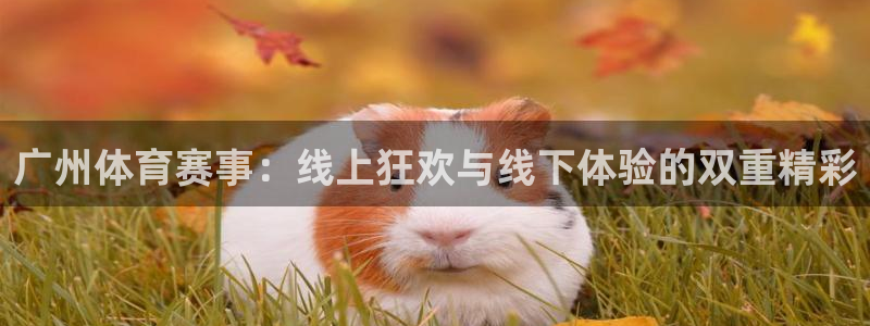 广州体育赛事：线上狂欢与线下体验的双重精彩